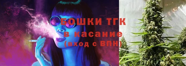 ПСИЛОЦИБИНОВЫЕ ГРИБЫ Алексеевка